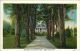 081 1954 Spence Estate postcard side A