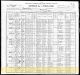 115 1900 US Census John Nelligan household p1